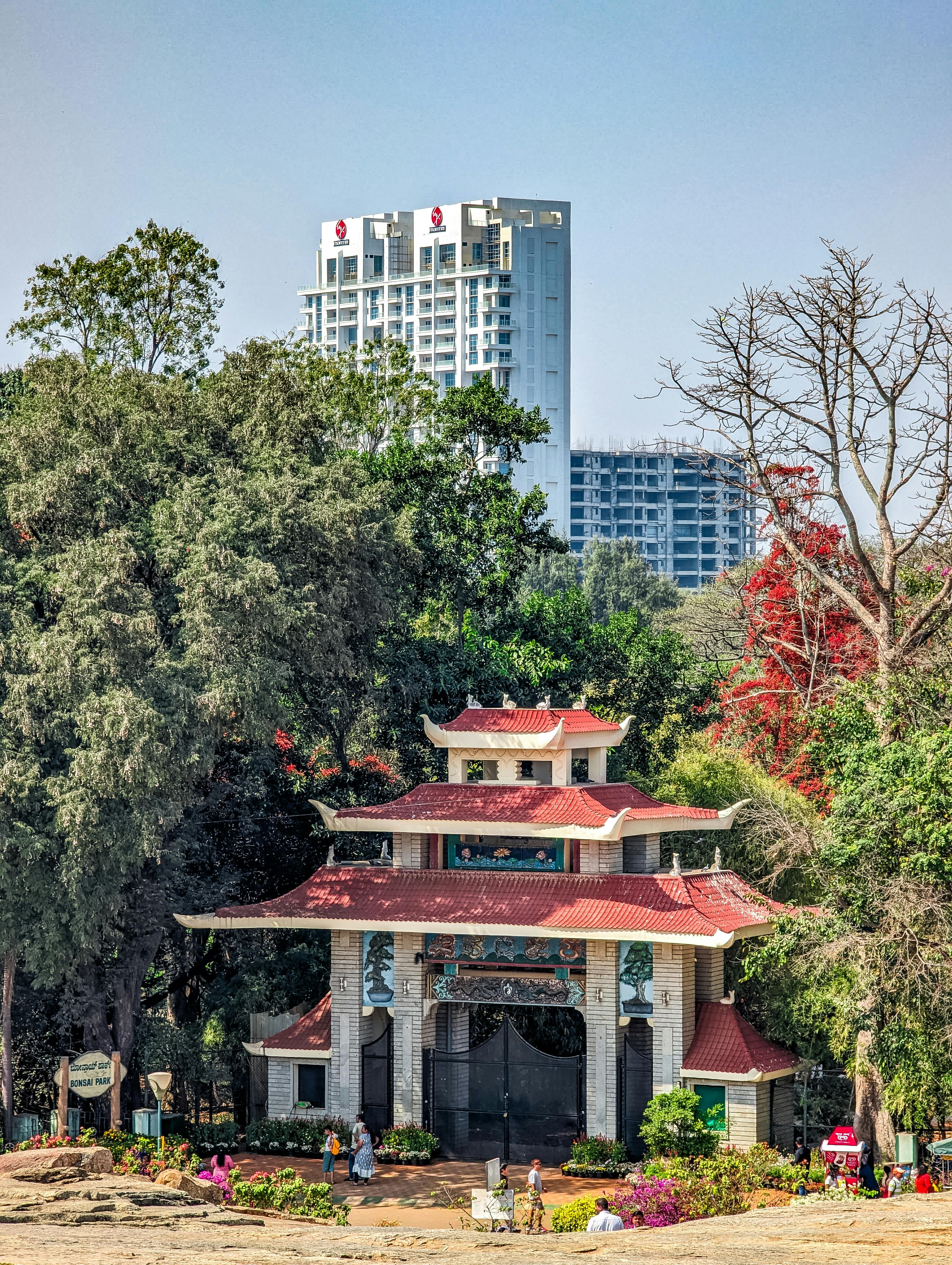 Bangalore & Beyond: Culture, Nature, Cuisine