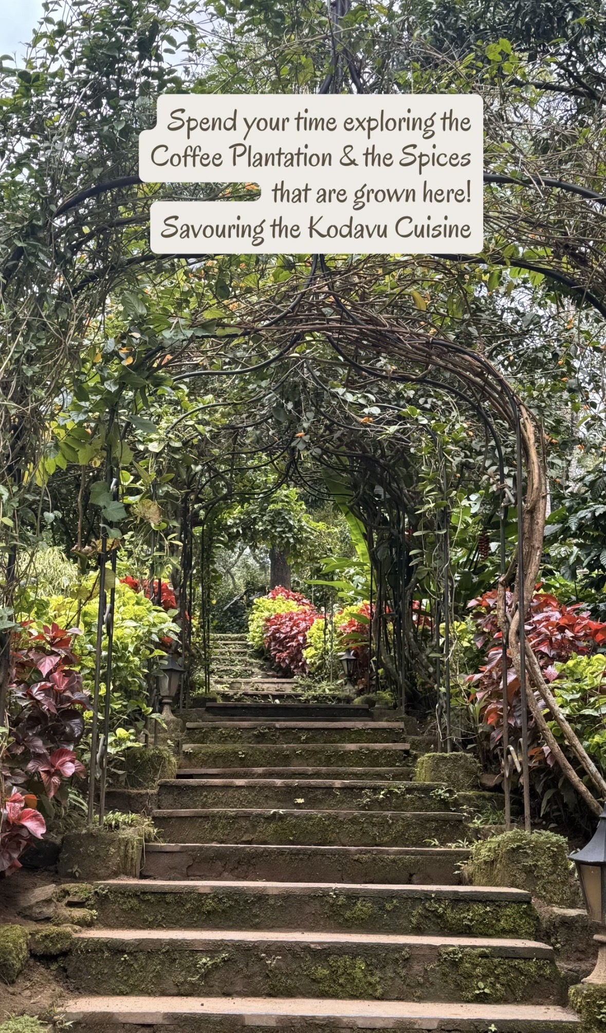 Coorg Art Retreat