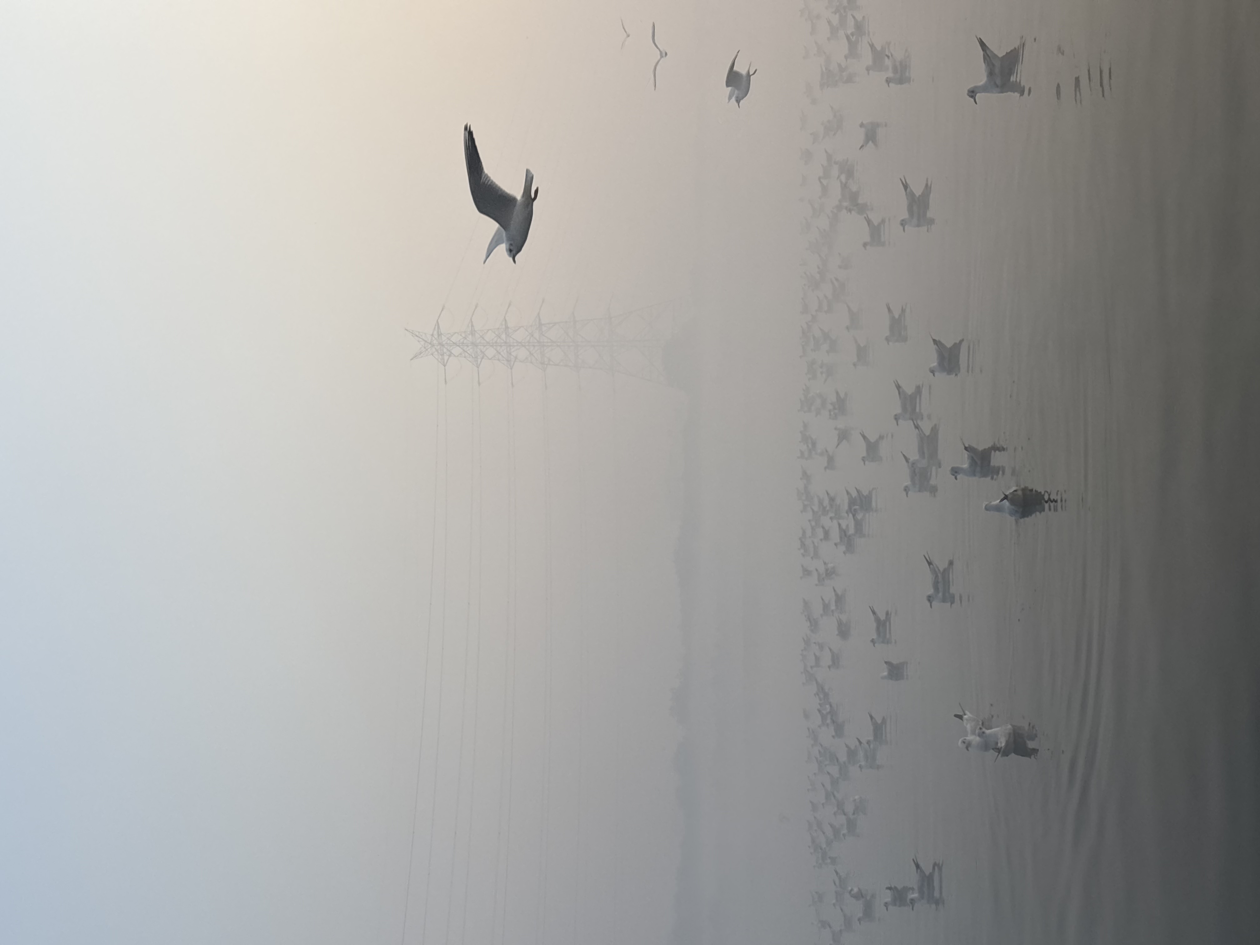 Yamuna | Sunrise Tour