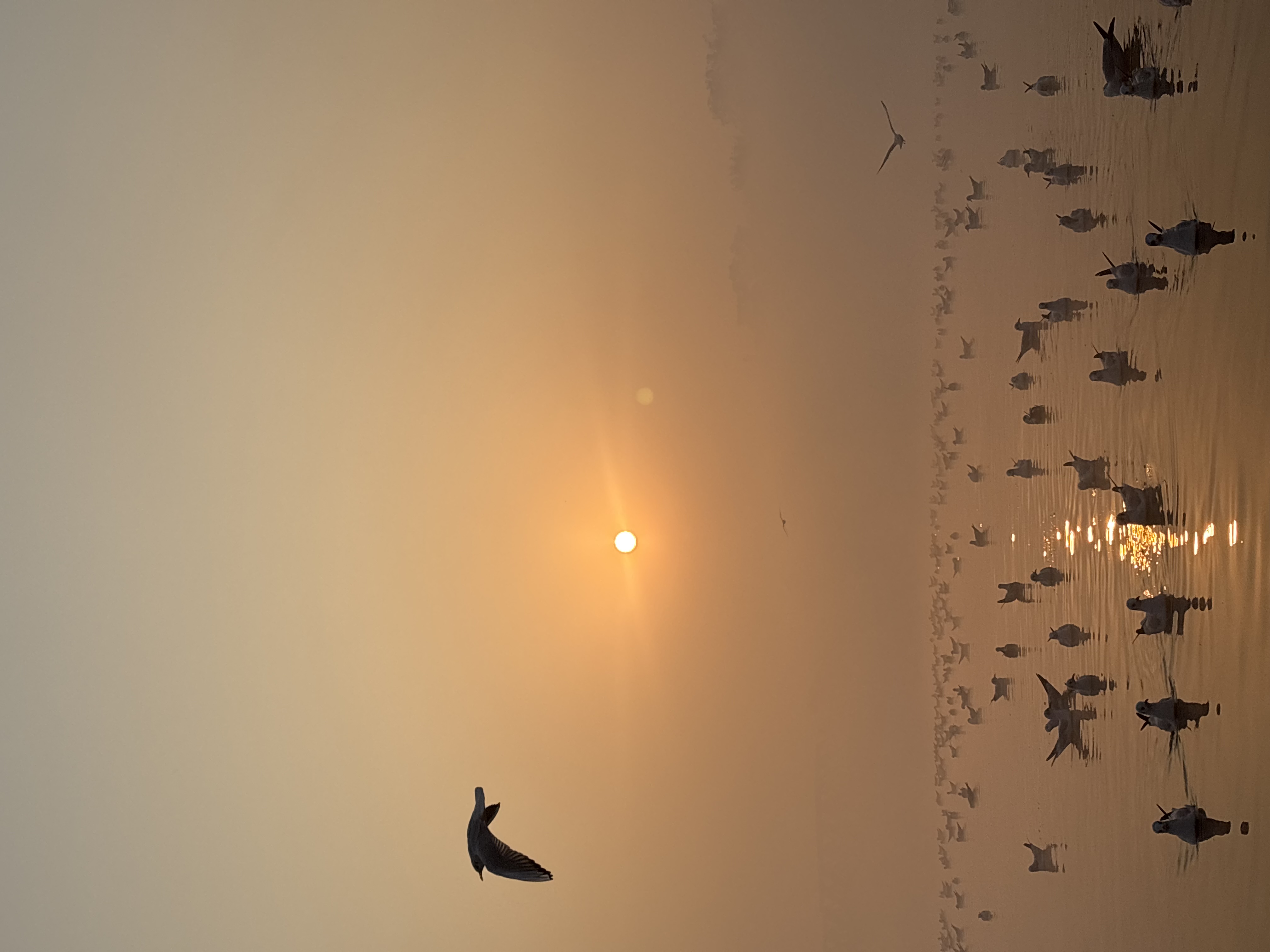 Yamuna | Sunrise Tour