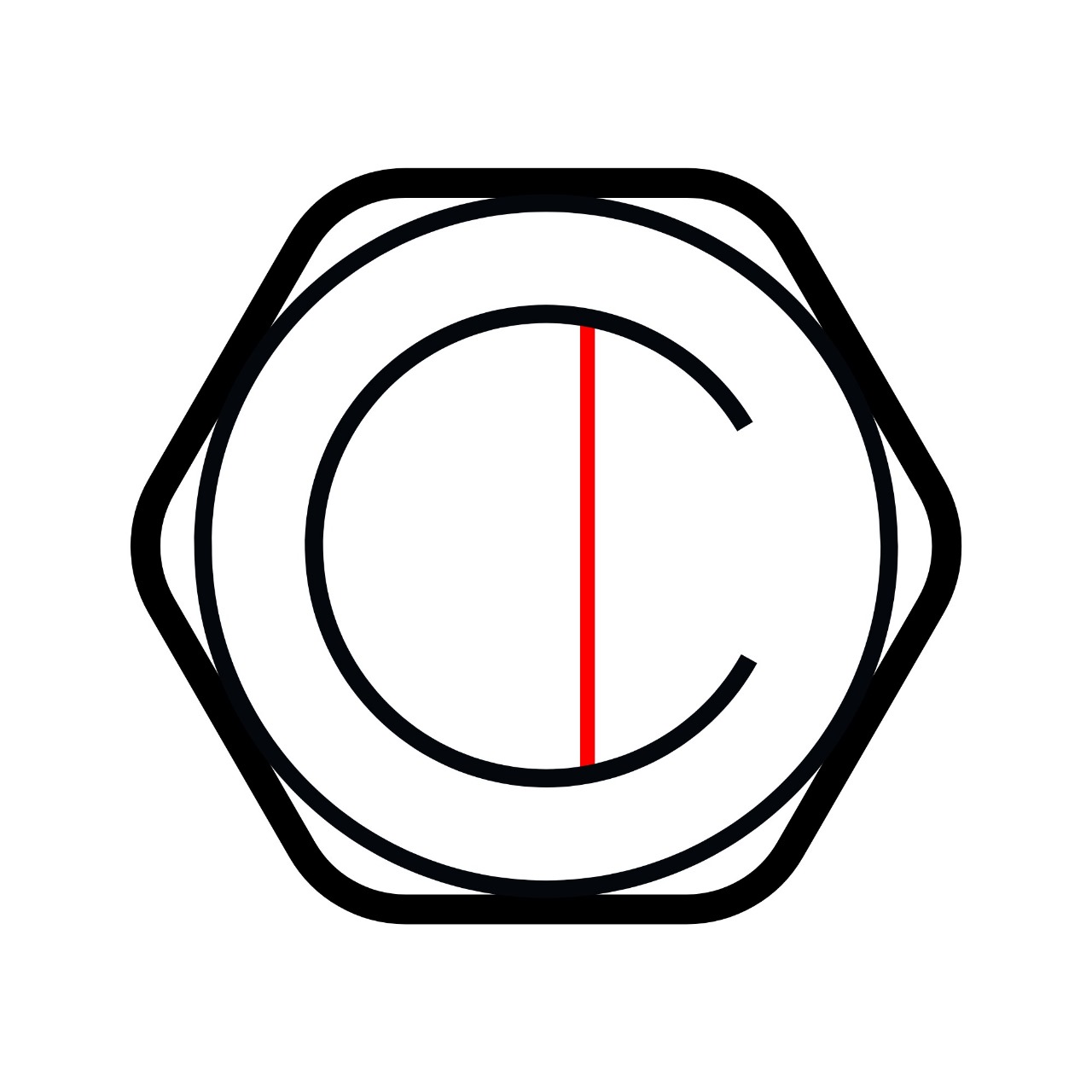 THE DELHI CIRCLE