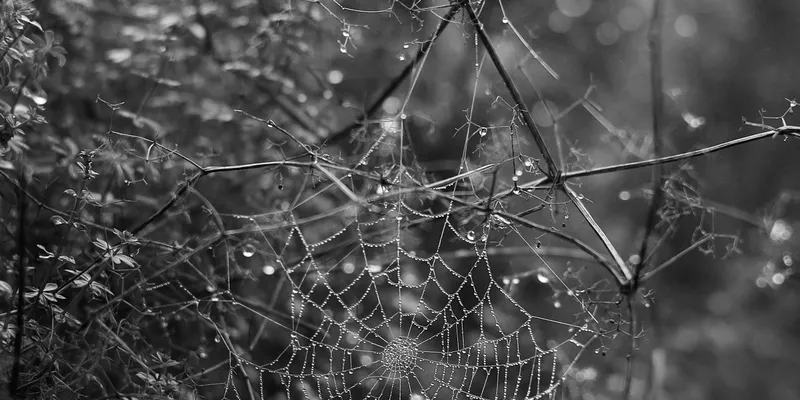 Exploration of the Art