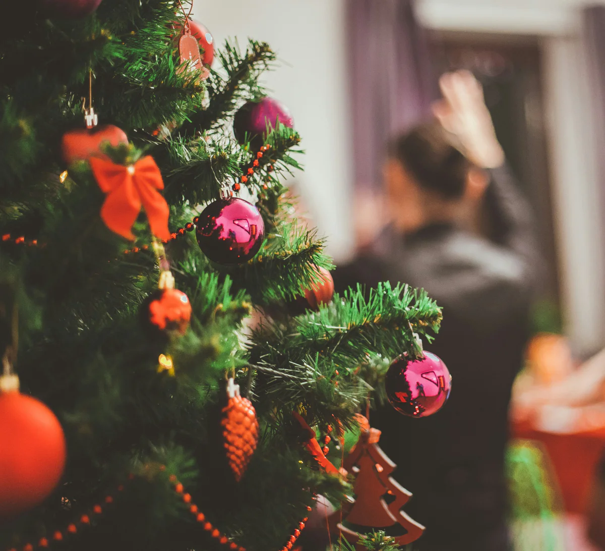 Arrival and Festive Welcome