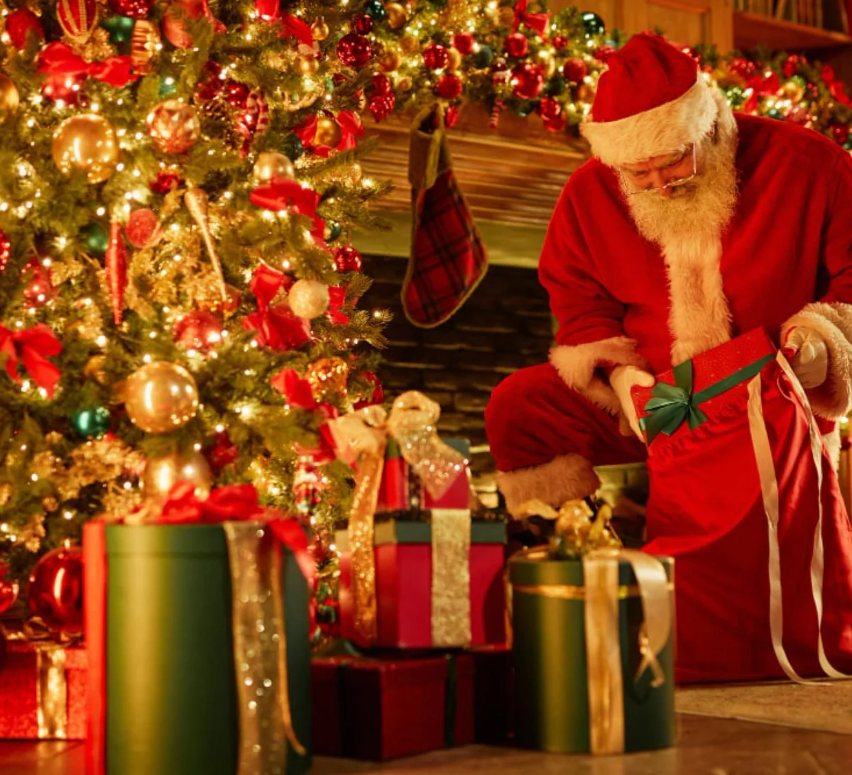 Merry Christmas Dinner