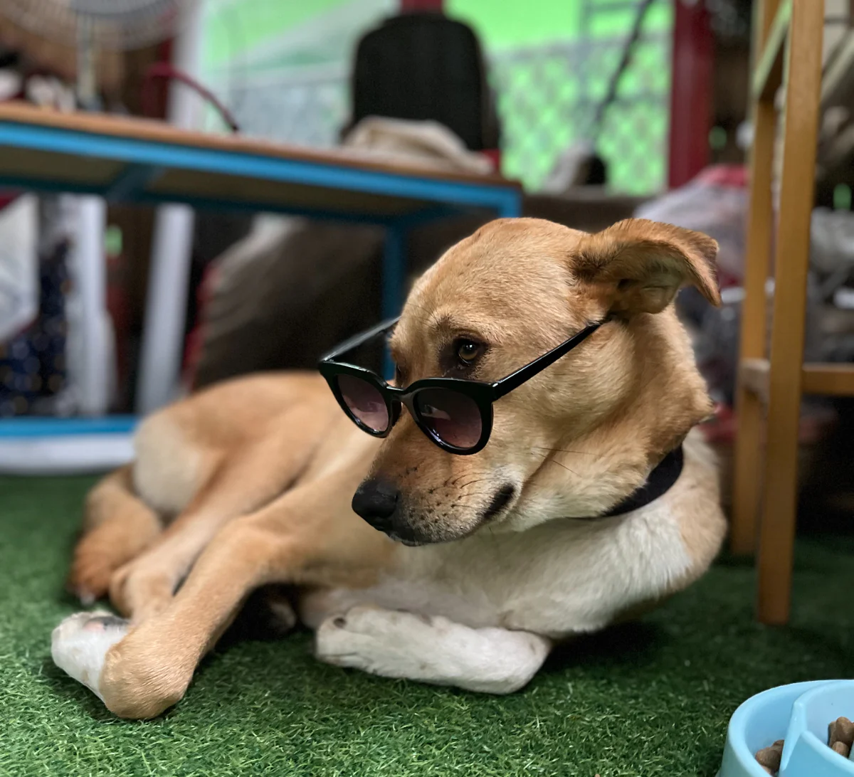 Day 5: Theatre & Expression