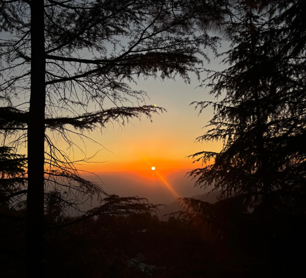 Day 1: Arrival & Dharamkot Slow Living