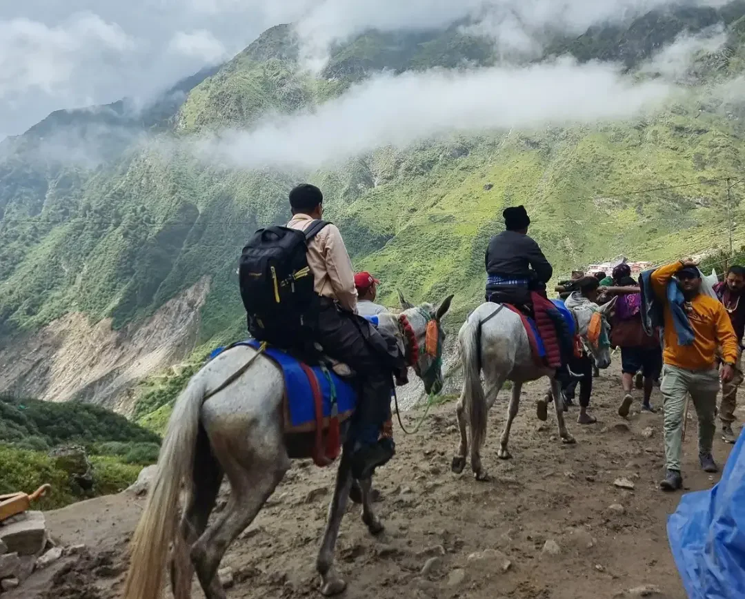 Kedarnath, Chopta & Rishikesh