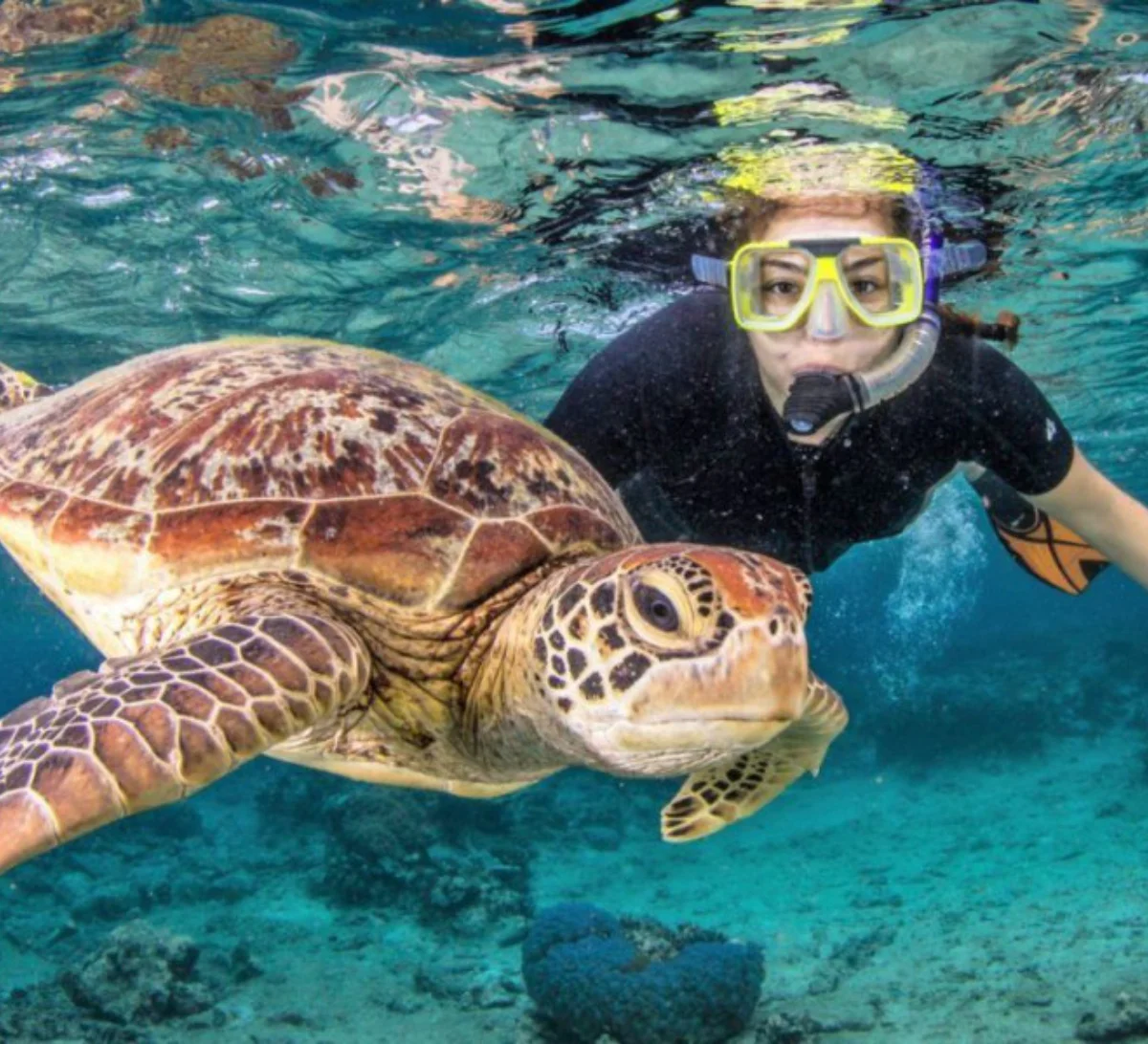 Day 5: Gili Snorkeling Adventure