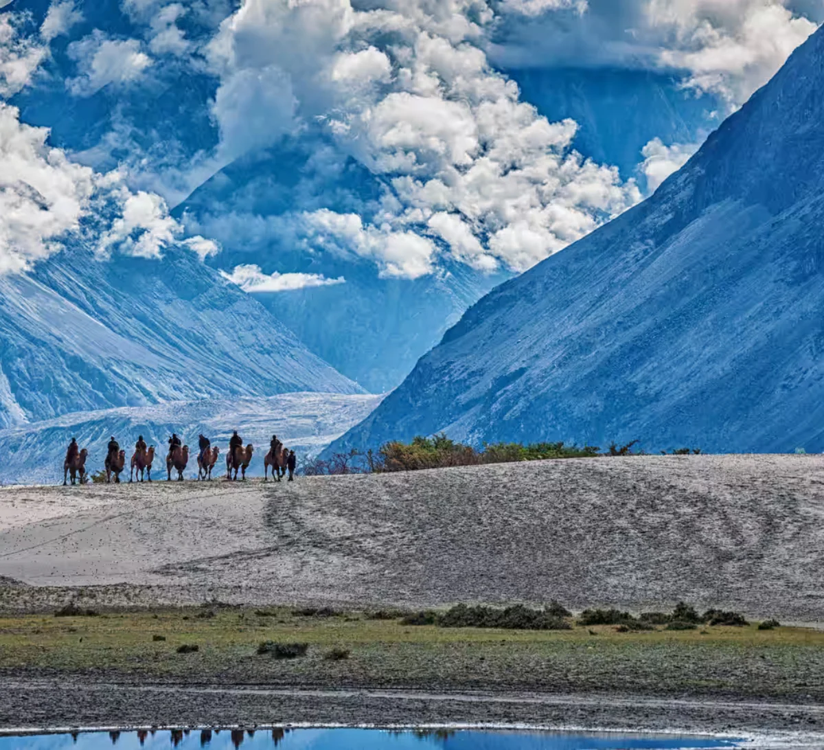 Nubra to Pangong via Diskit
