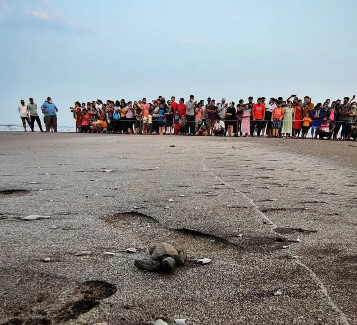 Day 1: Night Departure