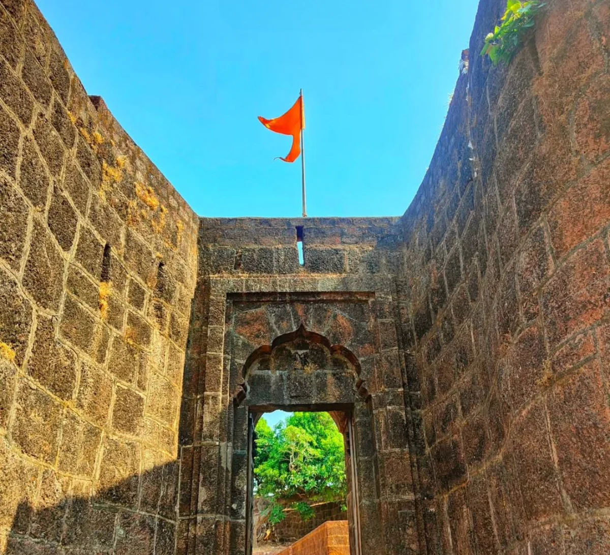 Day 2: Turtle Sighting & Fort Exploration