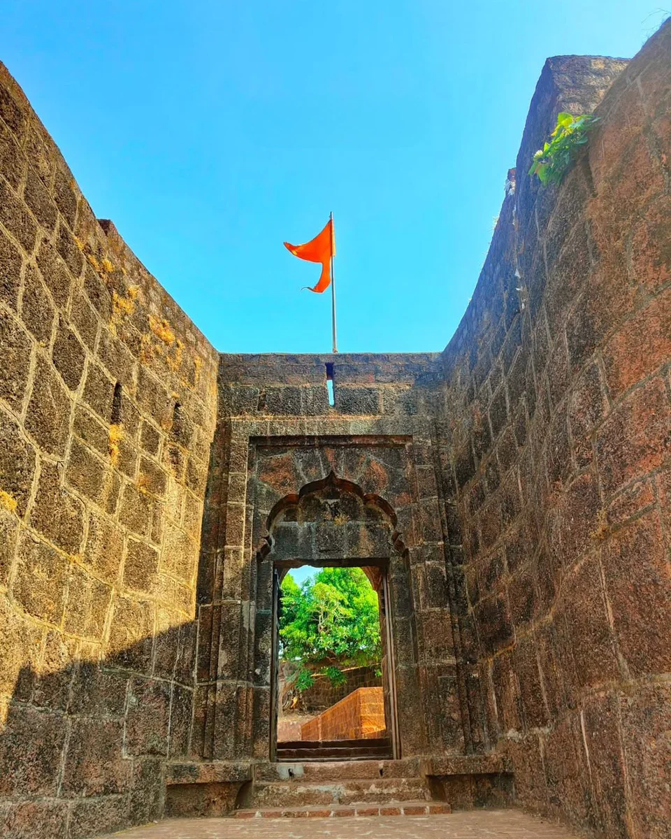 Velas Turtle Festival