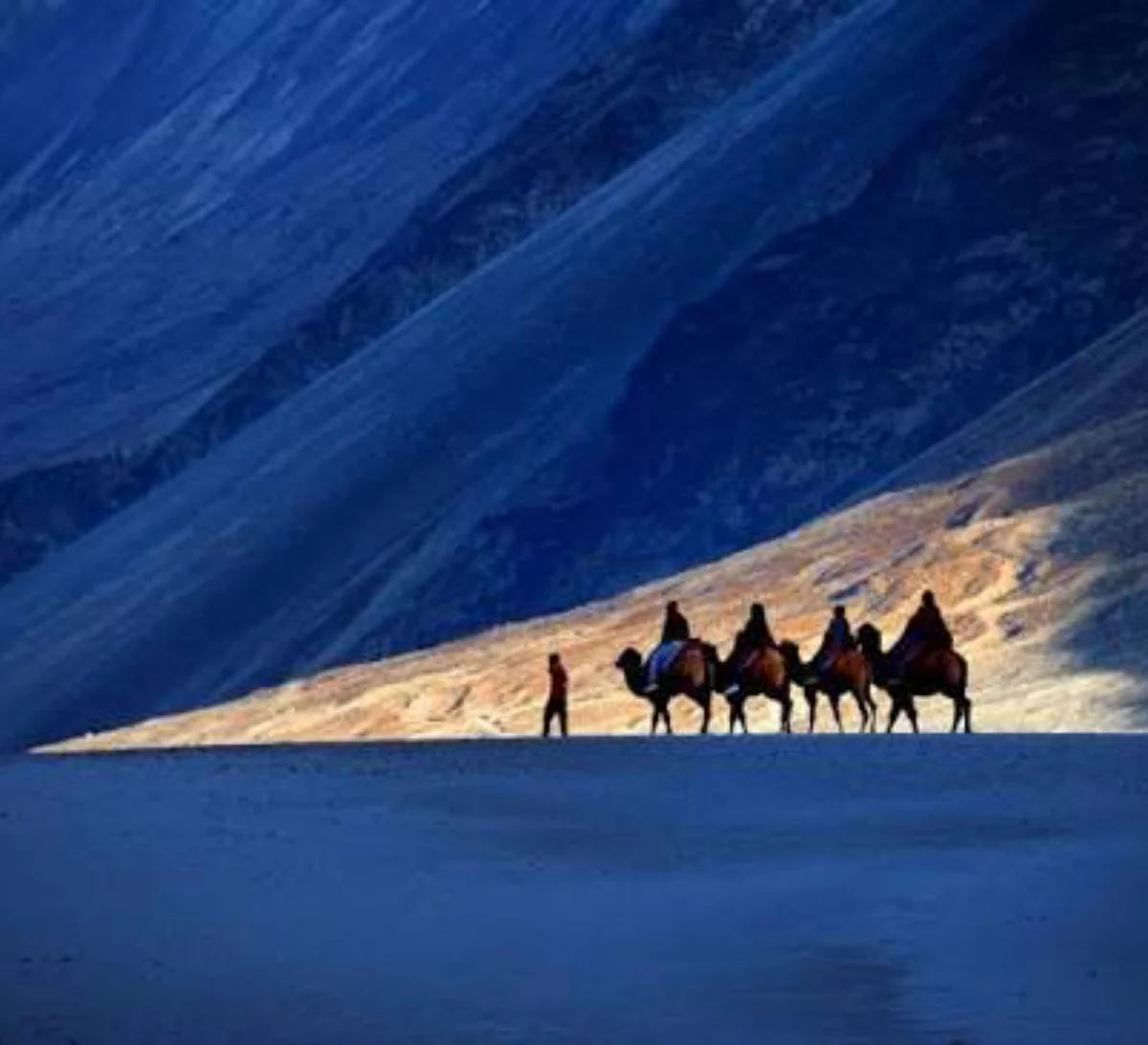 Day 2: Khardung La & Cold Desert
