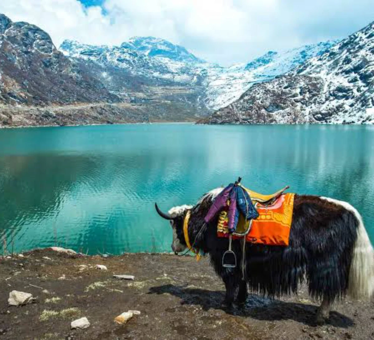 Day 3: Tsomgo Lake & Baba Mandir Excursion