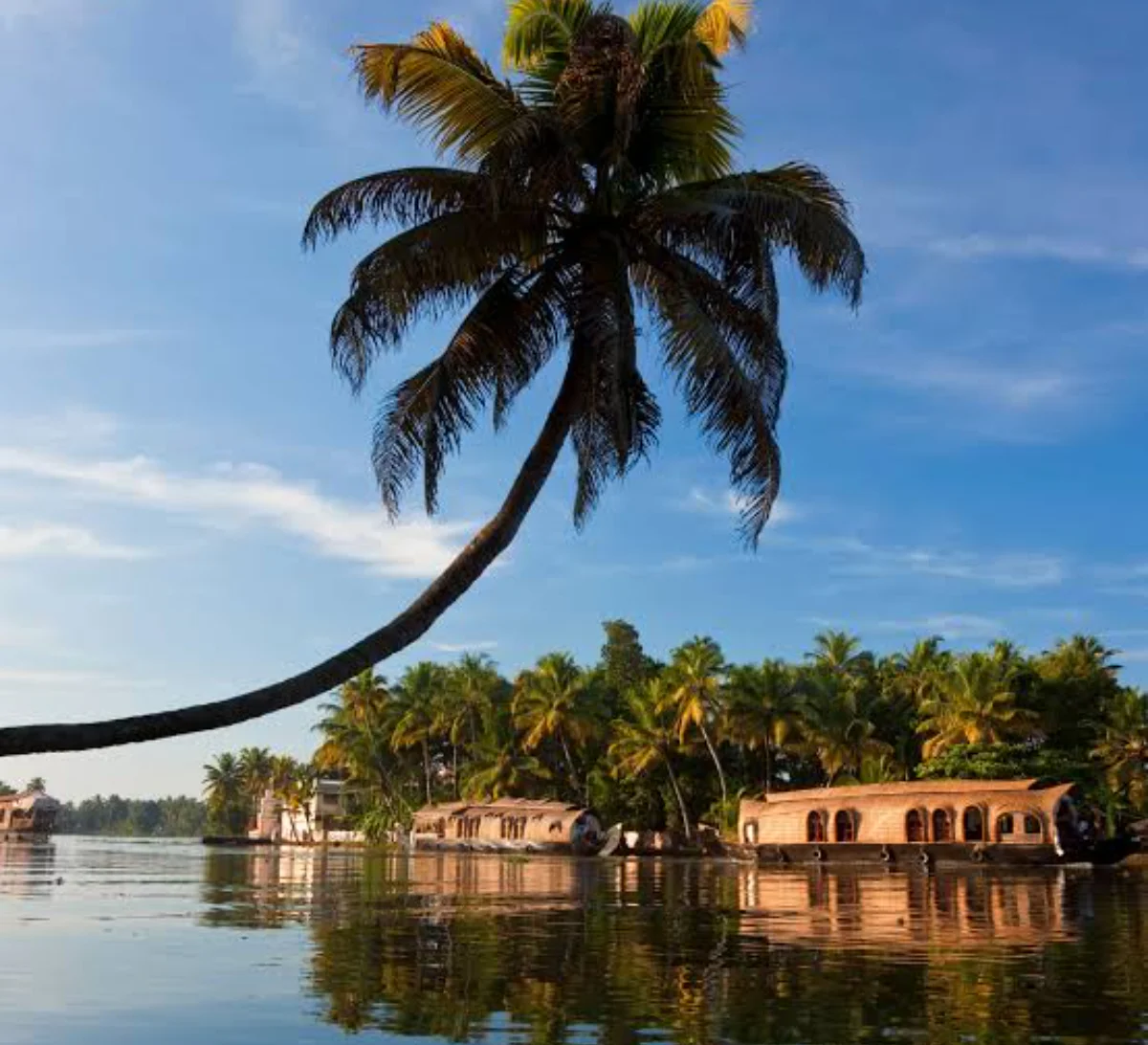 Day 3: Wildlife and Spice Routes
