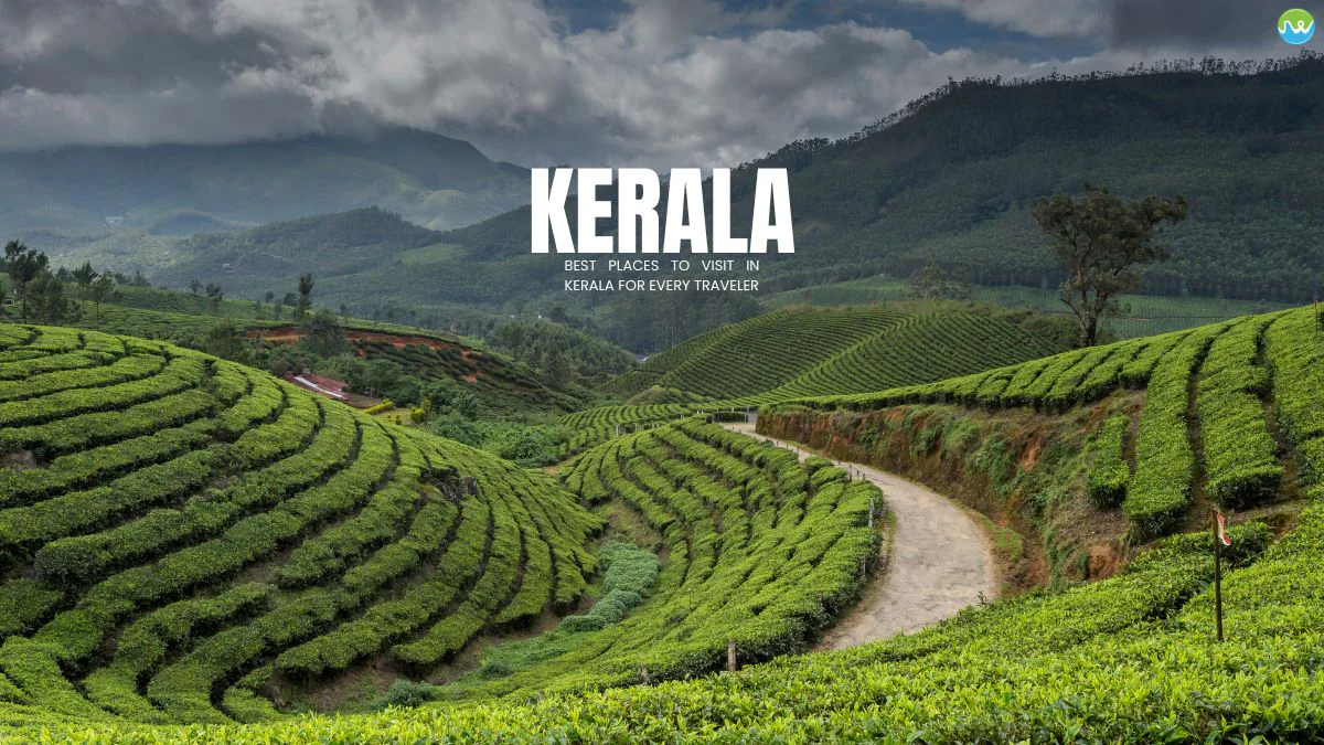 Tropical Tranquility: 5 Days in Kerala