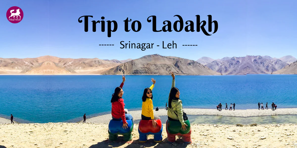 Trip to Ladakh (Srinagar – Kargil – Leh with Hanle)