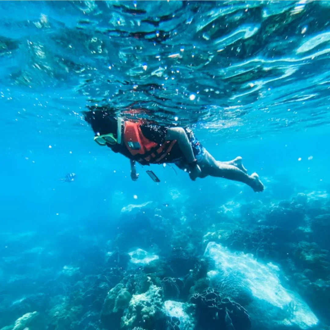Snorkeling