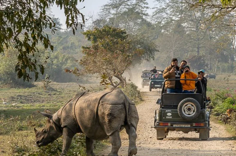 Kaziranga Jeep Safari