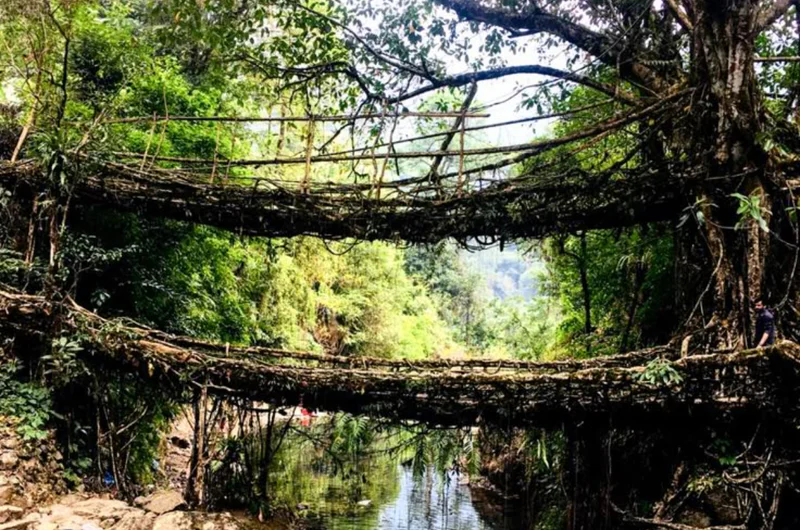 Double Decker Living Root Bridge trek