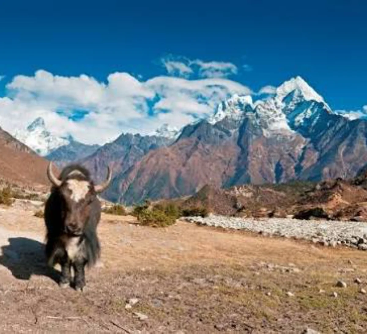 Day 3: Journey into Jomsom
