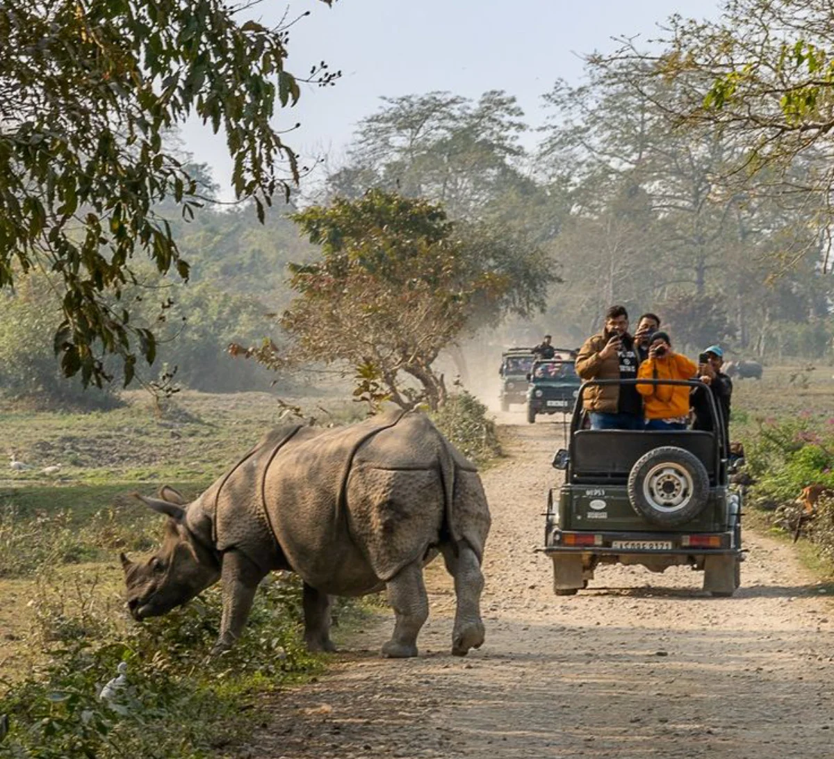 Kaziranga Safari & Departure