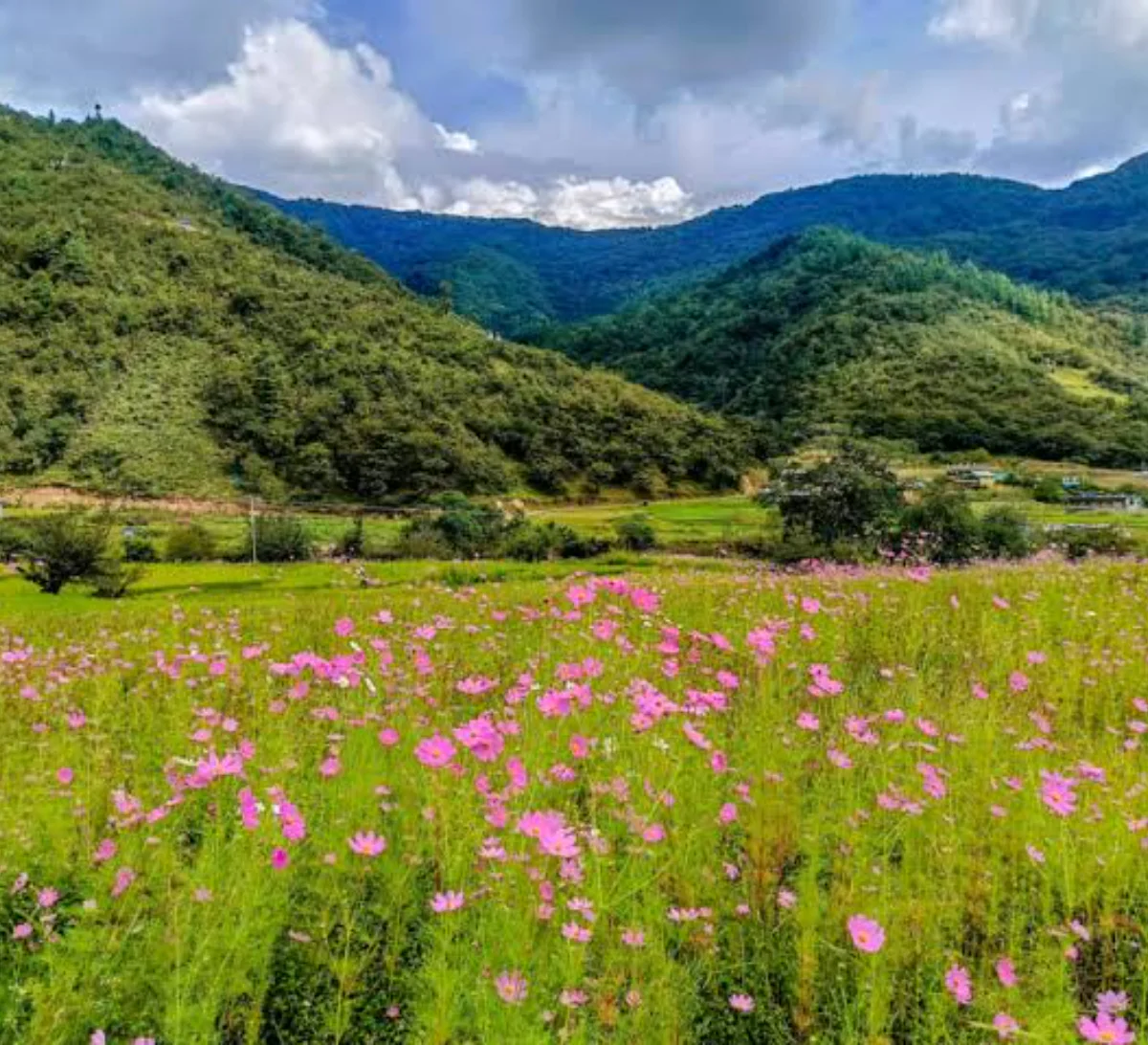Tawang Monastery & Chug Valley