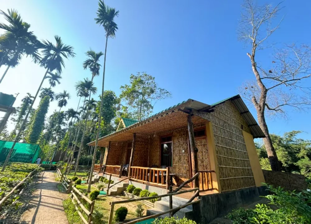accommodation