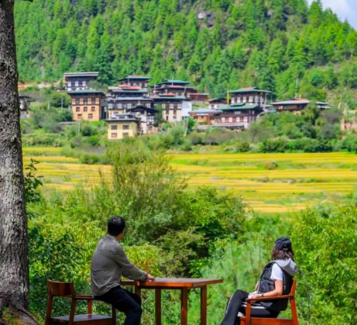 Bagdogra → Phuentsholing