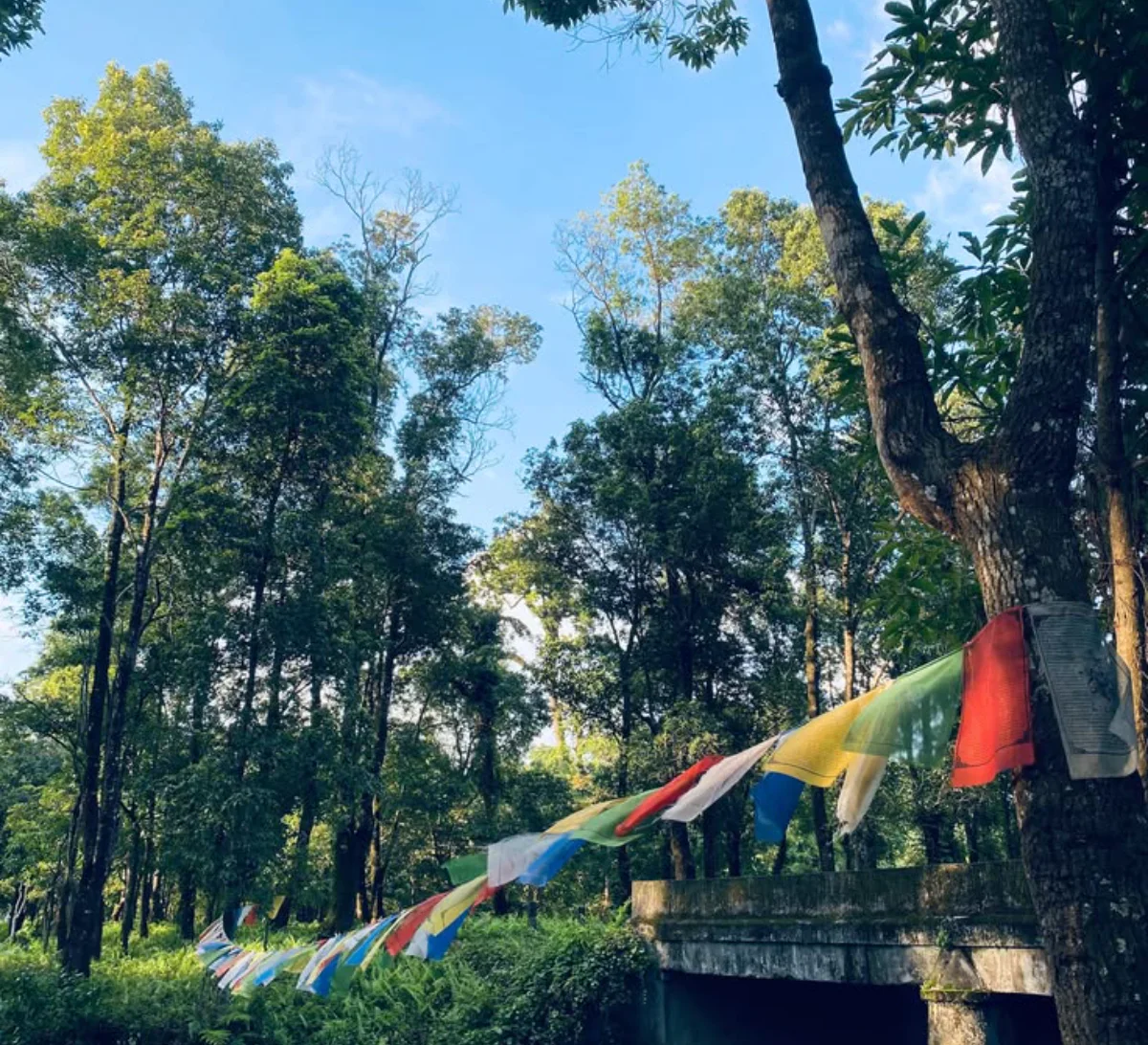 Paro → Phuentsholing → Siliguri