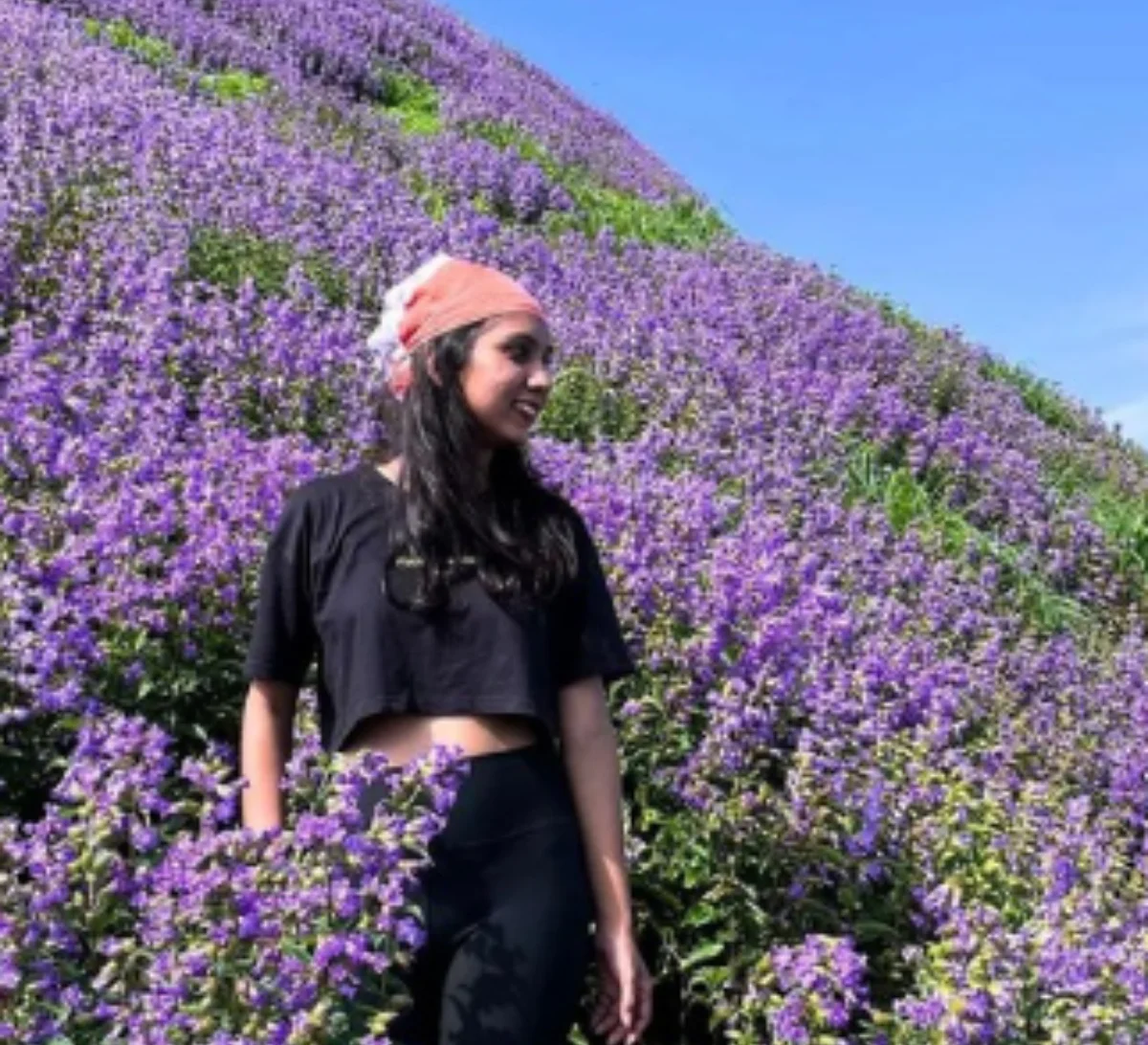 Kaas Plateau Trip Begins