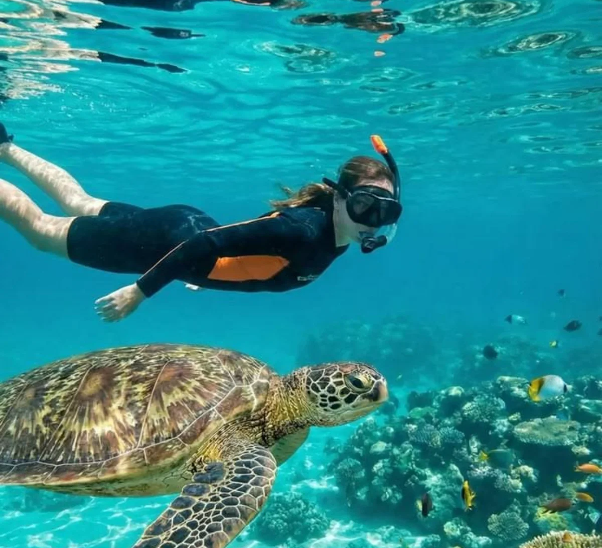 Gili – Snorkeling and Island Leisure