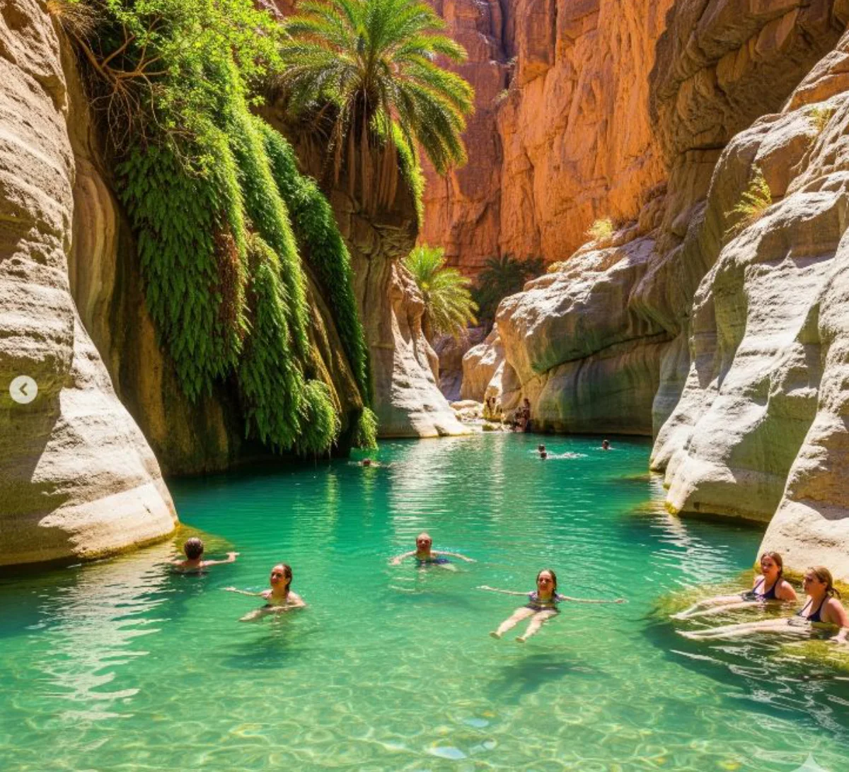 Wadi Shab Excursion.