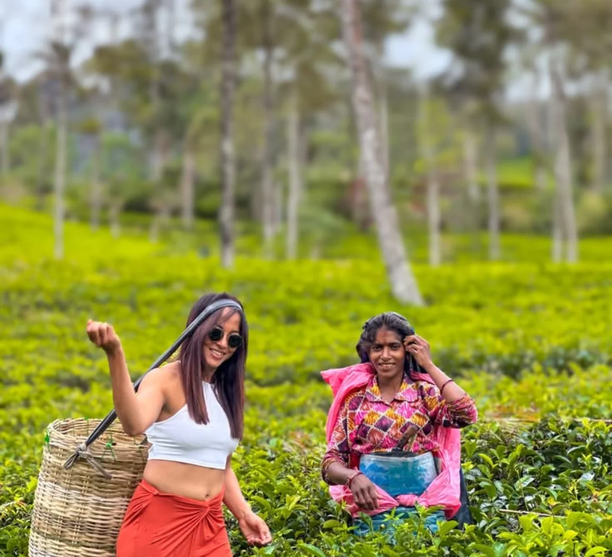 Kandy to Nuwara Eliya