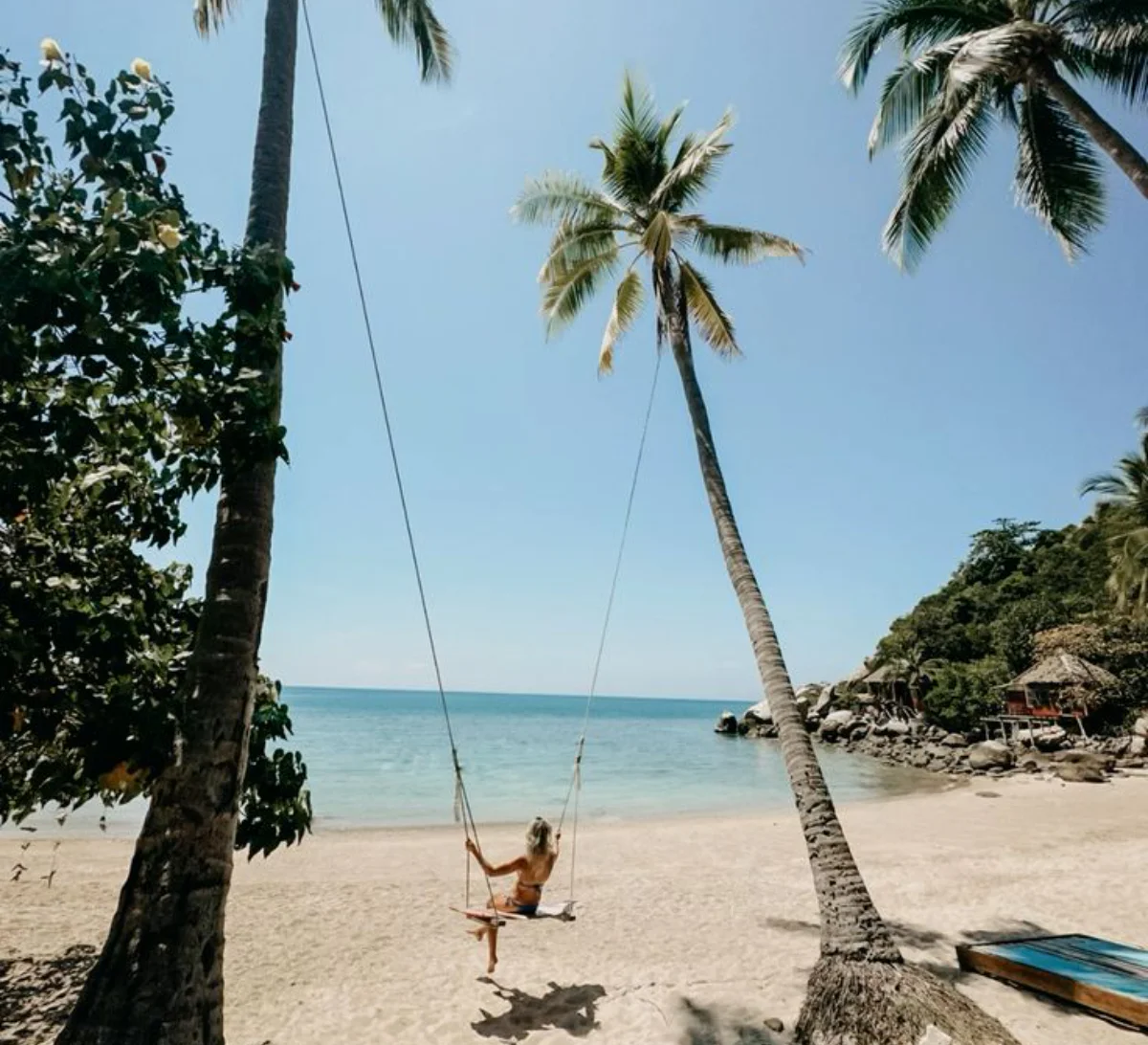Phi Phi Island Tour