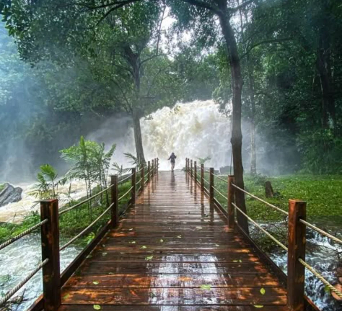 Coorg Sightseeing