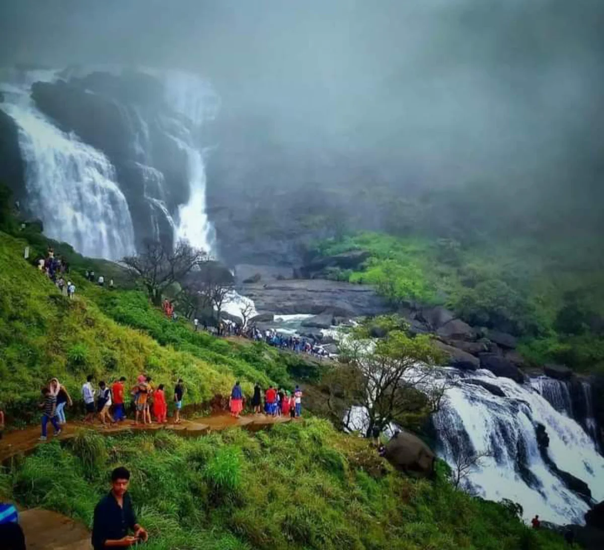 Coorg to Mumbai