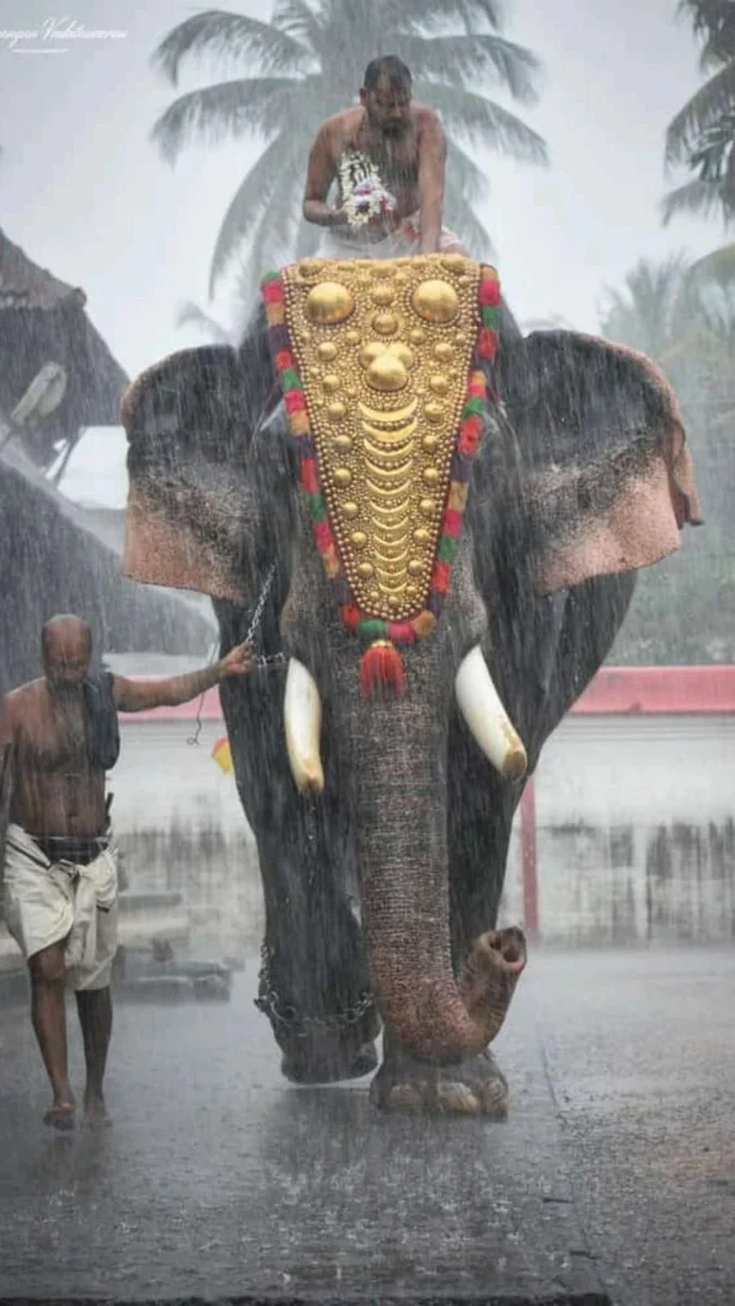 Backpack trip to Kerala