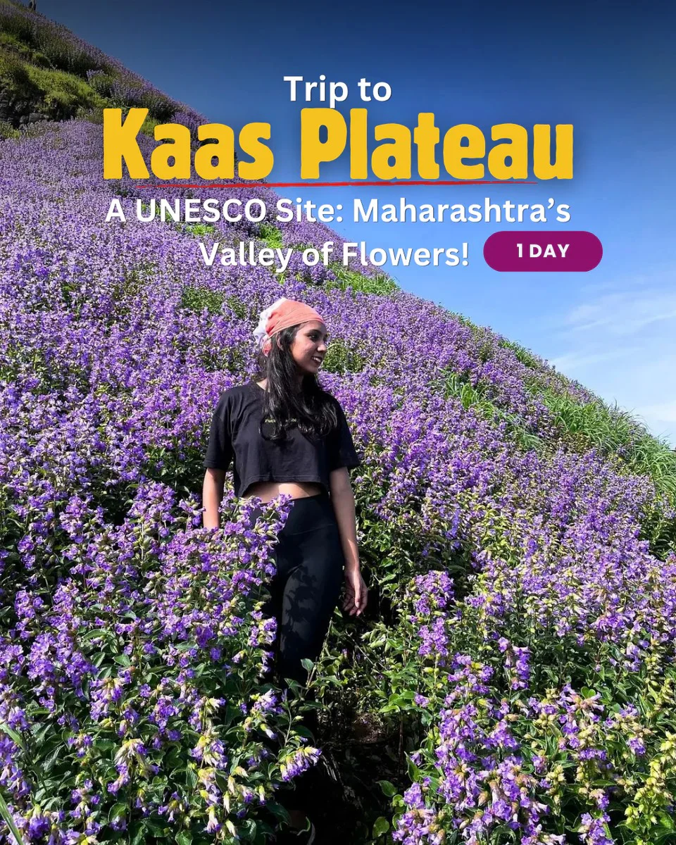 Trip to Kaas Pathar