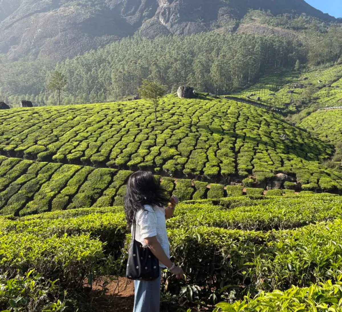 Mumbai to Mangalore