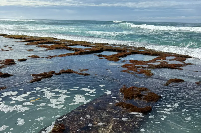 Natural Pools by the Beach