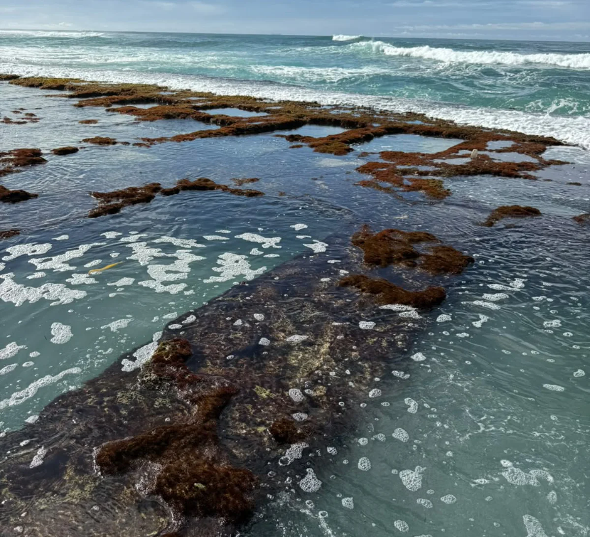 Day 6: Turtles & Coastal Chaos