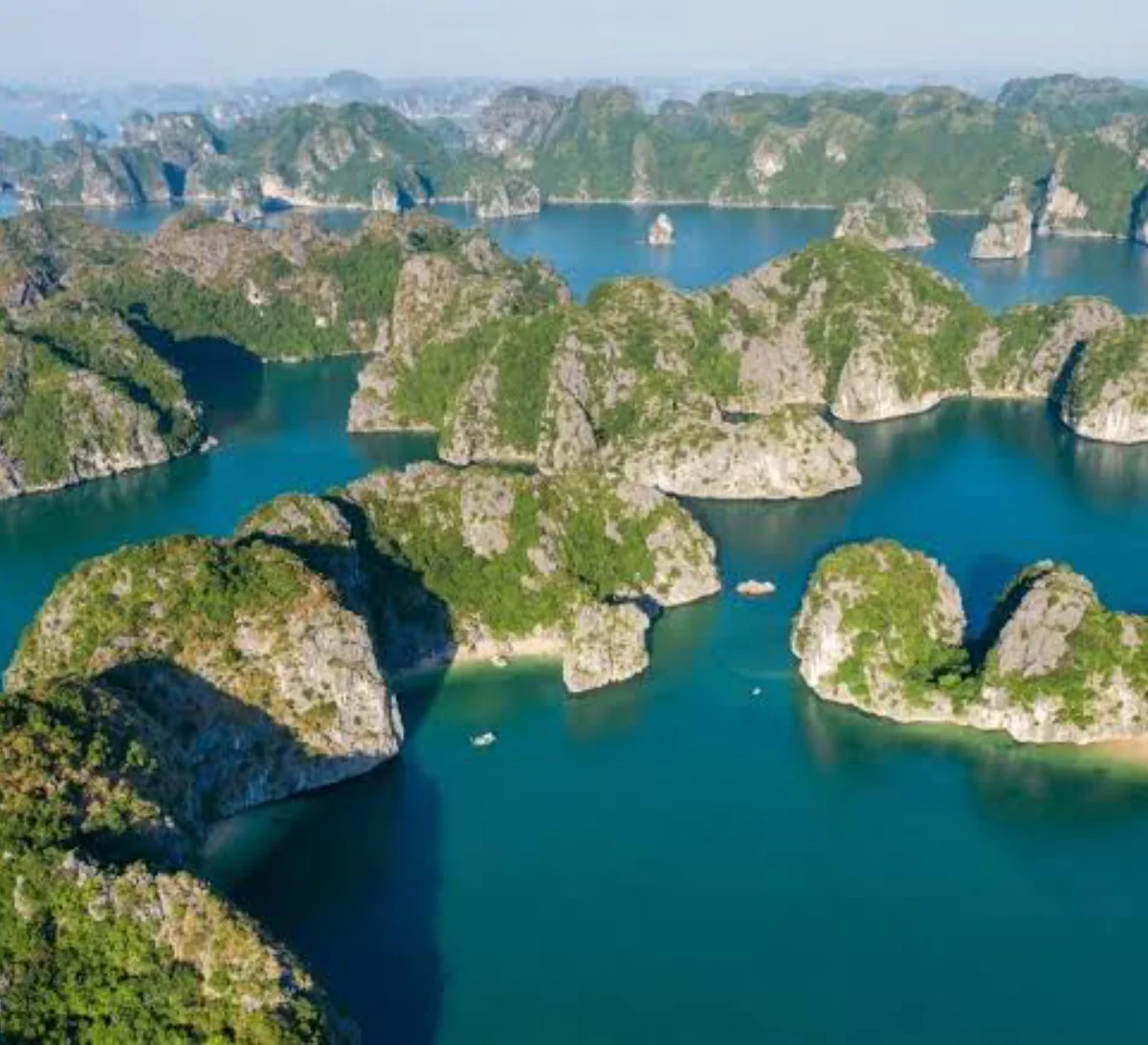 Day 6: Halong Bay Cruise & Ti Top Island