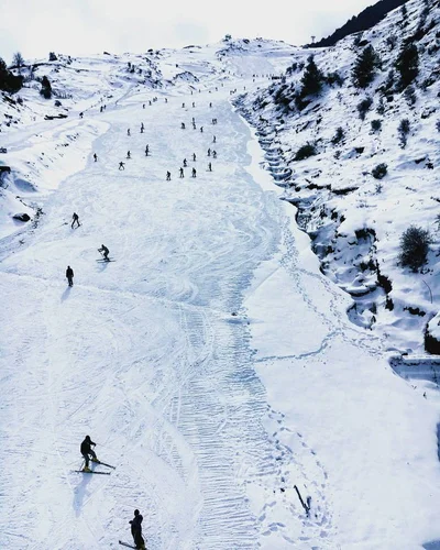 Chopta Auli Escape