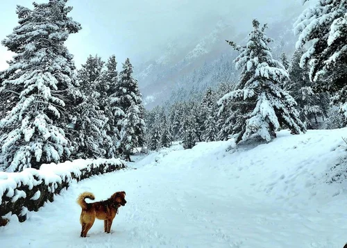 Spiti Winter Saga