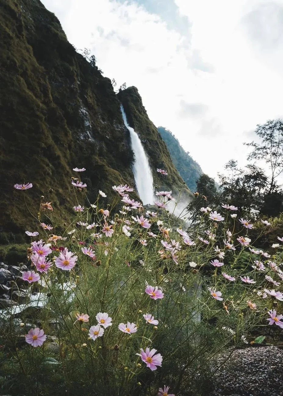 Munsiyari - Little Kashmir of Uttarakhand