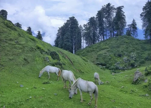 Chakrata - Short Weekend Getaway