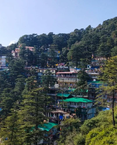 Triund to McLeod Ganj – Farewell to the Mountains