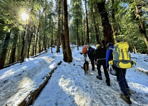 Kedarkantha Trek