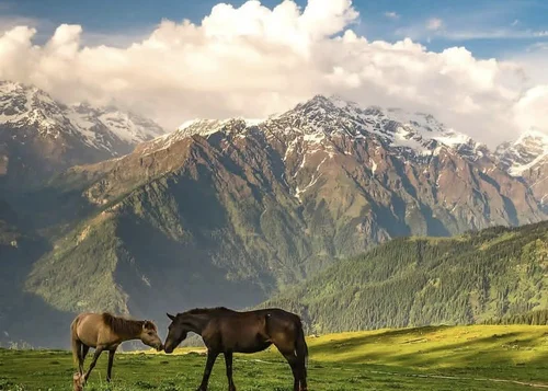 Kasol - Kheerganga
